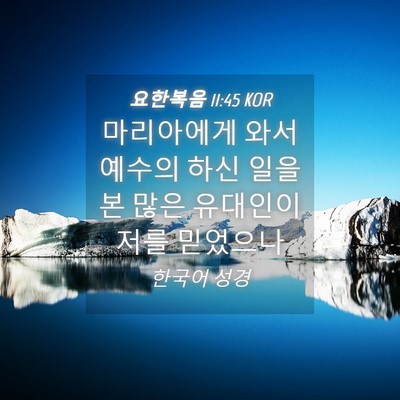 Picture 04 - 요한복음 11:45 KOR - 마리아에게 와서 예수의 하신 일을 - Bible Verse Picture