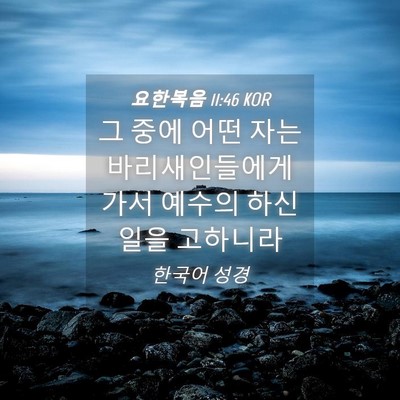 Picture 04 - 요한복음 11:46 KOR - 그 중에 어떤 자는 바리새인들에게 - Bible Verse Picture