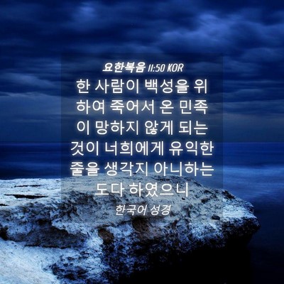 Picture 04 - 요한복음 11:50 KOR - 한 사람이 백성을 위하여 죽어서 온 - Bible Verse Picture