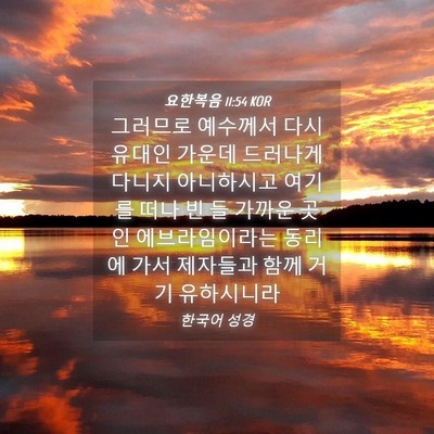 Picture 04 - 요한복음 11:54 KOR - 그러므로 예수께서 다시 유대인 - Bible Verse Picture