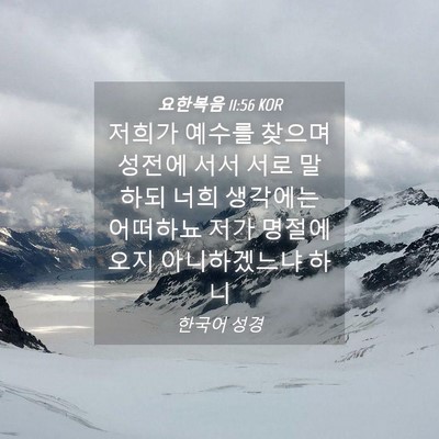 Picture 04 - 요한복음 11:56 KOR - 저희가 예수를 찾으며 성전에 서서 - Bible Verse Picture