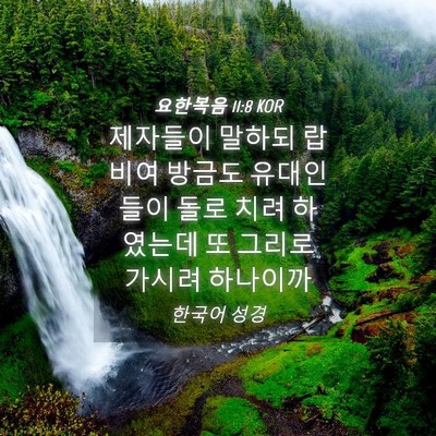 Picture 04 - 요한복음 11:8 KOR - 제자들이 말하되 랍비여 방금도 - Bible Verse Picture