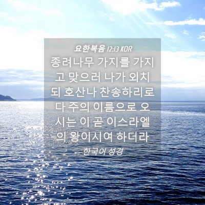 Picture 04 - 요한복음 12:13 KOR - 종려나무 가지를 가지고 맞으러 나가 - Bible Verse Picture