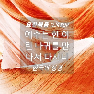 Picture 04 - 요한복음 12:14 KOR - 예수는 한 어린 나귀를 만나서 - Bible Verse Picture