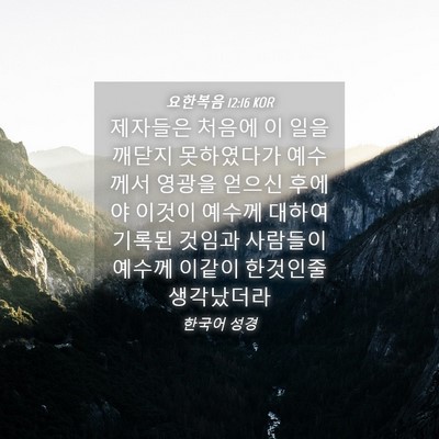 Picture 04 - 요한복음 12:16 KOR - 제자들은 처음에 이 일을 깨닫지 - Bible Verse Picture
