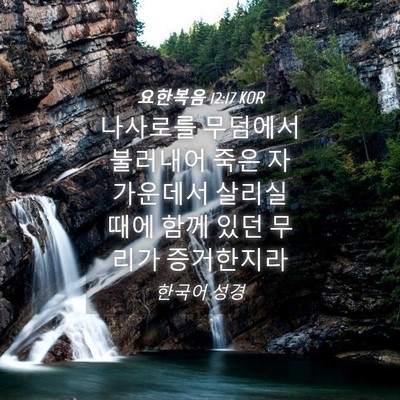 Picture 04 - 요한복음 12:17 KOR - 나사로를 무덤에서 불러내어 죽은 자 - Bible Verse Picture