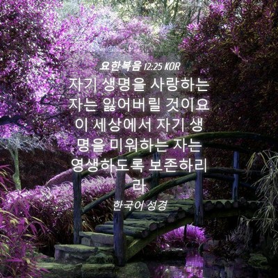 Picture 04 - 요한복음 12:25 KOR - 자기 생명을 사랑하는 자는 잃어버릴 - Bible Verse Picture