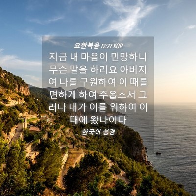 Picture 04 - 요한복음 12:27 KOR - 지금 내 마음이 민망하니 무슨 말을 - Bible Verse Picture
