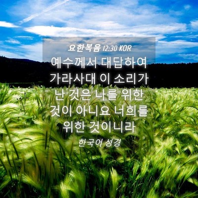 Picture 04 - 요한복음 12:30 KOR - 예수께서 대답하여 가라사대 이 - Bible Verse Picture