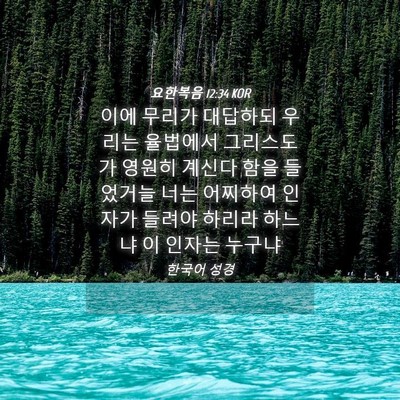 Picture 04 - 요한복음 12:34 KOR - 이에 무리가 대답하되 우리는 - Bible Verse Picture