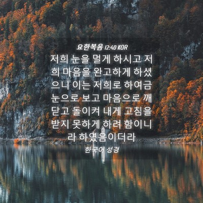Picture 04 - 요한복음 12:40 KOR - 저희 눈을 멀게 하시고 저희 마음을 - Bible Verse Picture