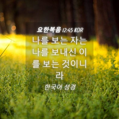Picture 04 - 요한복음 12:45 KOR - 나를 보는 자는 나를 보내신 이를 - Bible Verse Picture