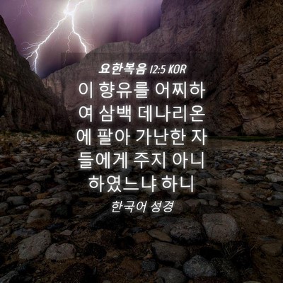 Picture 04 - 요한복음 12:5 KOR - 이 향유를 어찌하여 삼백 데나리온에 - Bible Verse Picture