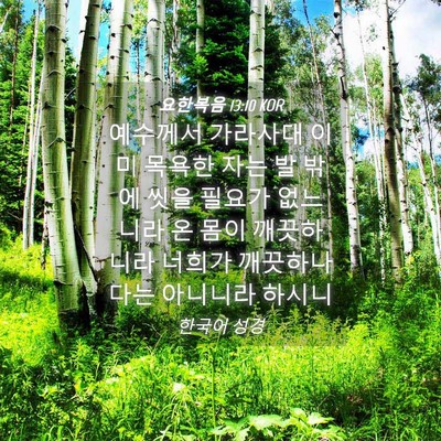 Picture 04 - 요한복음 13:10 KOR - 예수께서 가라사대 이미 목욕한 자는 - Bible Verse Picture