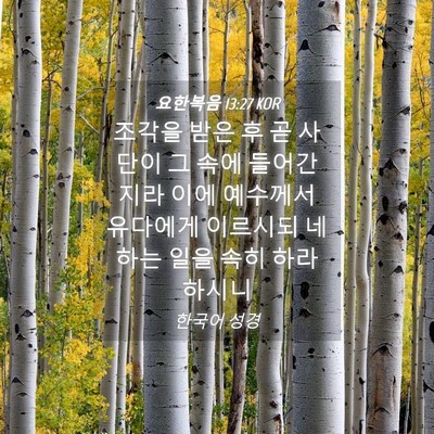 Picture 04 - 요한복음 13:27 KOR - 조각을 받은 후 곧 사단이 그 속에 - Bible Verse Picture