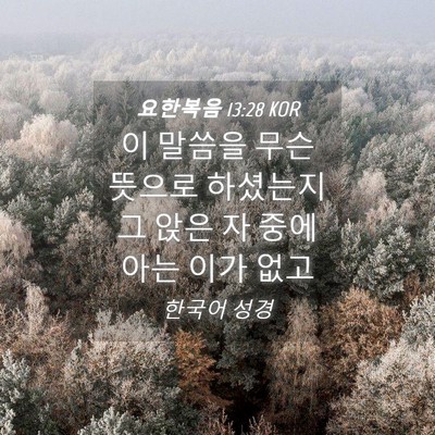 Picture 04 - 요한복음 13:28 KOR - 이 말씀을 무슨 뜻으로 하셨는지 그 - Bible Verse Picture