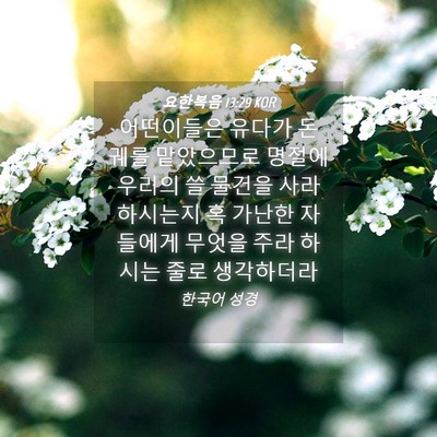 Picture 04 - 요한복음 13:29 KOR - 어떤이들은 유다가 돈 궤를 - Bible Verse Picture