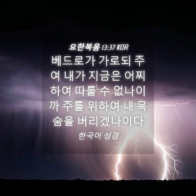 Picture 04 - 요한복음 13:37 KOR - 베드로가 가로되 주여 내가 지금은 - Bible Verse Picture