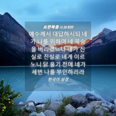 Picture 04 - 요한복음 13:38 KOR - 예수께서 대답하시되 네가 나를 - Bible Verse Picture