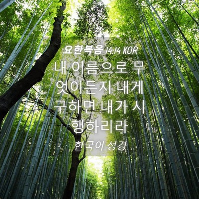 Picture 04 - 요한복음 14:14 KOR - 내 이름으로 무엇이든지 내게 구하면 - Bible Verse Picture