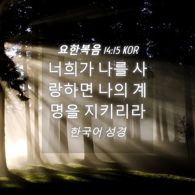Picture 04 - 요한복음 14:15 KOR - 너희가 나를 사랑하면 나의 계명을 - Bible Verse Picture