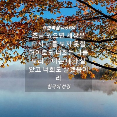 Picture 04 - 요한복음 14:19 KOR - 조금 있으면 세상은 다시 나를 보지 - Bible Verse Picture