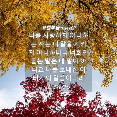 Picture 04 - 요한복음 14:24 KOR - 나를 사랑하지 아니하는 자는 내 - Bible Verse Picture