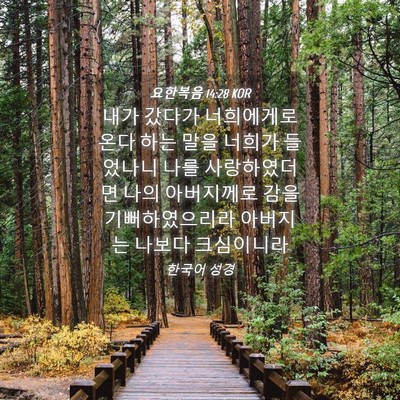Picture 04 - 요한복음 14:28 KOR - 내가 갔다가 너희에게로 온다 하는 - Bible Verse Picture