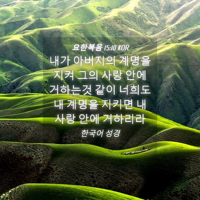 Picture 04 - 요한복음 15:10 KOR - 내가 아버지의 계명을 지켜 그의 - Bible Verse Picture