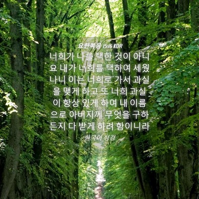 Picture 04 - 요한복음 15:16 KOR - 너희가 나를 택한 것이 아니요 내가 - Bible Verse Picture
