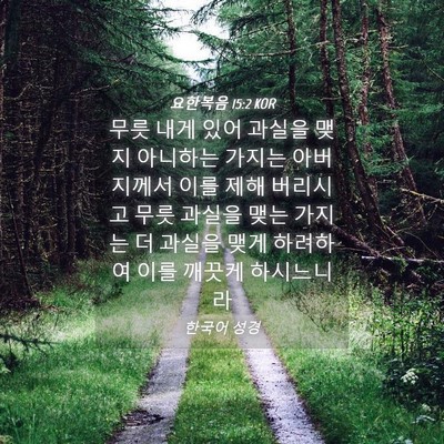 Picture 04 - 요한복음 15:2 KOR - 무릇 내게 있어 과실을 맺지 - Bible Verse Picture