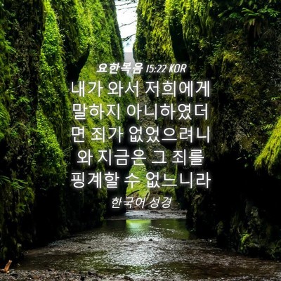 Picture 04 - 요한복음 15:22 KOR - 내가 와서 저희에게 말하지 - Bible Verse Picture