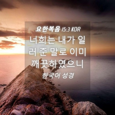 Picture 04 - 요한복음 15:3 KOR - 너희는 내가 일러 준 말로 이미 - Bible Verse Picture