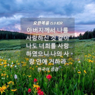 Picture 04 - 요한복음 15:9 KOR - 아버지께서 나를 사랑하신 것 같이 - Bible Verse Picture