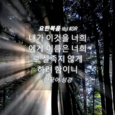 Picture 04 - 요한복음 16:1 KOR - 내가 이것을 너희에게 이름은 너희로 - Bible Verse Picture