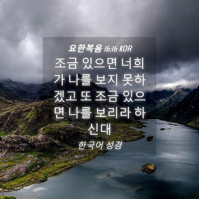 Picture 04 - 요한복음 16:16 KOR - 조금 있으면 너희가 나를 보지 - Bible Verse Picture