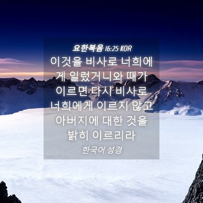 Picture 04 - 요한복음 16:25 KOR - 이것을 비사로 너희에게 일렀거니와 - Bible Verse Picture