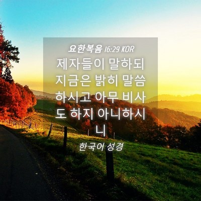 Picture 04 - 요한복음 16:29 KOR - 제자들이 말하되 지금은 밝히 - Bible Verse Picture