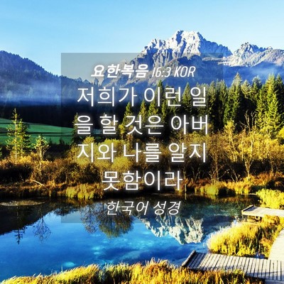 Picture 04 - 요한복음 16:3 KOR - 저희가 이런 일을 할 것은 아버지와 - Bible Verse Picture