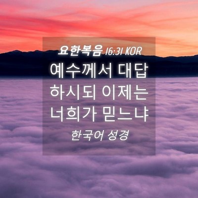 Picture 04 - 요한복음 16:31 KOR - 예수께서 대답하시되 이제는 너희가 - Bible Verse Picture