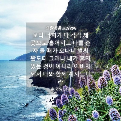 Picture 04 - 요한복음 16:32 KOR - 보라 너희가 다 각각 제 곳으로 - Bible Verse Picture
