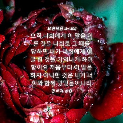 Picture 04 - 요한복음 16:4 KOR - 오직 너희에게 이 말을 이른 것은 - Bible Verse Picture