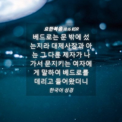 Picture 04 - 요한복음 18:16 KOR - 베드로는 문 밖에 섰는지라 - Bible Verse Picture