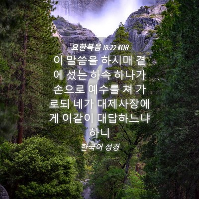 Picture 04 - 요한복음 18:22 KOR - 이 말씀을 하시매 곁에 섰는 하속 - Bible Verse Picture