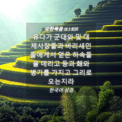 Picture 04 - 요한복음 18:3 KOR - 유다가 군대와 및 대제사장들과 - Bible Verse Picture