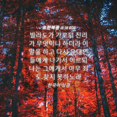 Picture 04 - 요한복음 18:38 KOR - 빌라도가 가로되 진리가 무엇이냐 - Bible Verse Picture