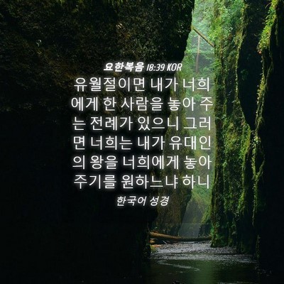 Picture 04 - 요한복음 18:39 KOR - 유월절이면 내가 너희에게 한 사람을 - Bible Verse Picture