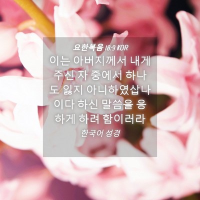 Picture 04 - 요한복음 18:9 KOR - 이는 아버지께서 내게 주신 자 - Bible Verse Picture