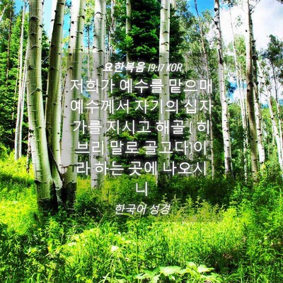 Picture 04 - 요한복음 19:17 KOR - 저희가 예수를 맡으매 예수께서 - Bible Verse Picture