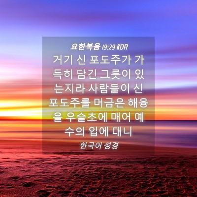 Picture 04 - 요한복음 19:29 KOR - 거기 신 포도주가 가득히 담긴 - Bible Verse Picture